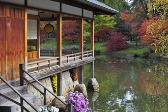 Traditional tea house along pond and Smooth Japanese maples