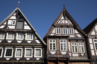Timber-framed houses in the old town centre of Celle