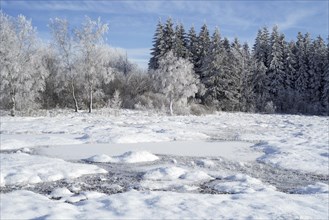 Moorland with frozen pingo in winter at the Hoge Venen