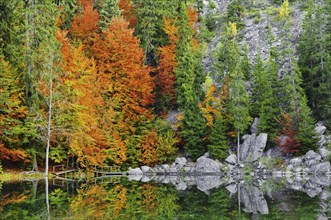 Reflection of autumn colours in the lake Lac Vert