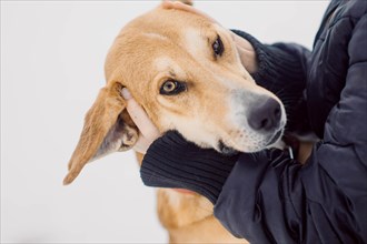 Homeless red dog happily hugs his new owner in a shelter for stray dogs