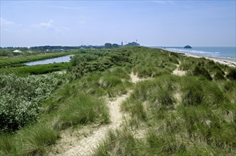 Nature reserve De Fonteintjes in the dunes between Blankenberge and Zeebrugge along the North Sea coast