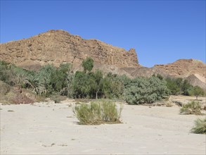 Ein Hudra Oasis