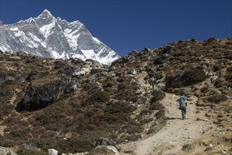 An independent trekker approaching Dingboche on a trek in the Everest Region. Lhotse