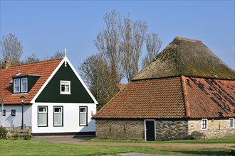 Traditional house and barn in the village Den Hoorn