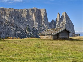 Alpine hut in front of Sciliar