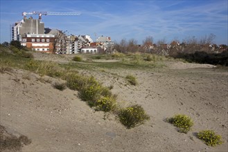 Dunes and advancing urbanization along the Belgian North Sea coast
