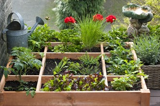 Square foot gardening by planting flowers