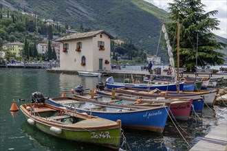 Rowing boats in the harbour