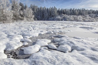 Moorland with frozen pingo in winter at the Hoge Venen