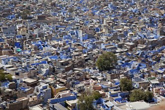 View over the blue city of Jodhpur