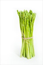 Fresh asparagus from the garden over white background