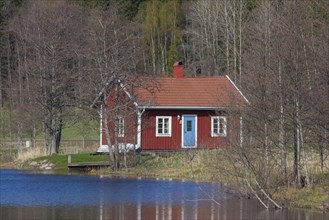 Swedish red wooden cabin along river in spring