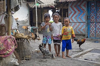 Indonesian children with chickens in a small fishing village with bamboo houses on the island Lombok