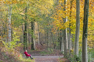 Lonely woman resting on park bench enjoying nature along forest path in autumn woodland