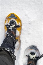 Close up of walker wearing snowshoes on feet while snowshoeing in deep powder snow in winter