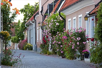 Traditional houses in street of the Hanseatic town Visby