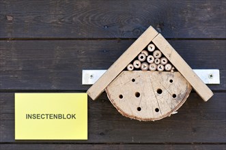 Insect nesting box
