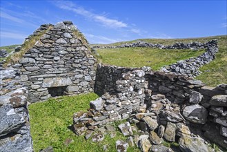 Remains of croft
