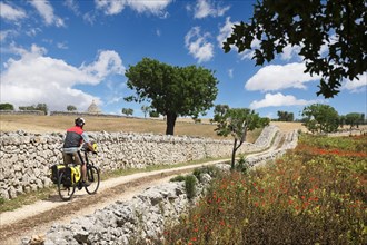 Cyclist on a side road between Noci and Alberobello