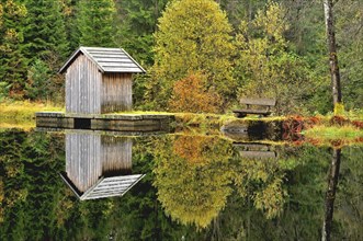 Reflections of wooden cabin and autumn colours in lake