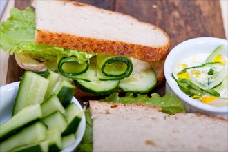Fresh vegetarian sandwich with garlic cheese dip salad on rustic table