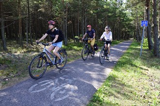 Cyclist on cycle path no. 10 of the Curonian Spit