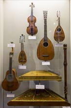 Collection of 18th century string instruments in the Vleeshuis
