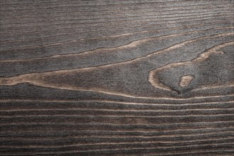 Close-up of dark wood texture