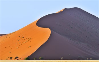 Red sand dunes of the Sossusvlei