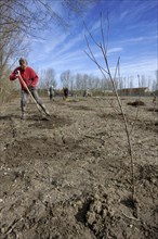 Nature conservationists planting trees on waste land