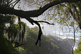 View over the Indian Ocean at the Tsitsikamma Coastal National Park along the Garden Route