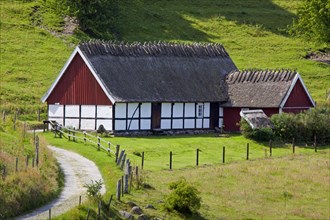 Traditional farmhouse with thatched roof at Broesar backar