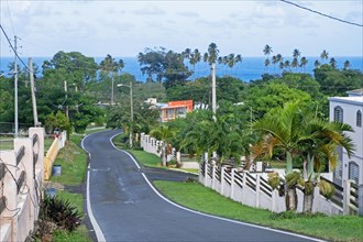 Houses in rural village along country road in northeastern Puerto Rico