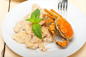 Fresh homemade Italian gnocchi with seafood sauce crab and basil