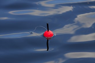 Angler's red floater