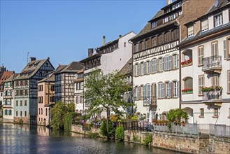 Half-timbered houses along the River Ill in the Petite France quarter of the city Strasbourg
