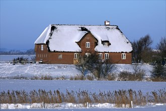 Traditional Frisian thatched house in the snow in winter