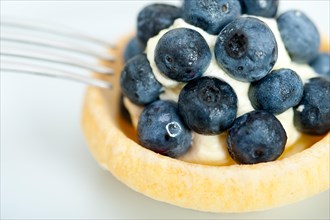 Fresh blueberry cream cupcake homemade closeup macro