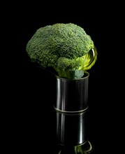 Fresh vivid green broccoli on a tin can over black background