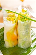 Fresh tipycal vietnamese style summer rolls