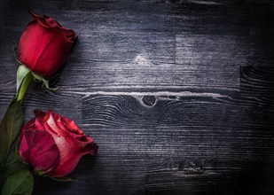 Expanded natural roses on wooden background holidays concept