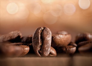 Coffee beans on a blurred background