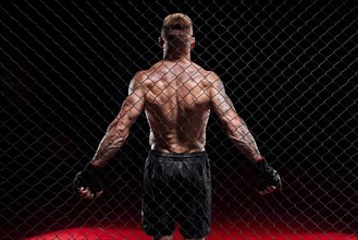 Dramatic depiction of a fighter in an octagon cage. Back view. The concept of sports