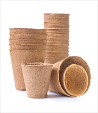 Large set of peat pots against a white background