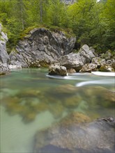 River Soca with crystal clear water flows through wooded canyon