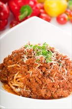 Italian classic spaghetti with bolognese sauce and fresh vegetables on background