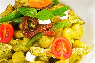 Fresh lumaconi pasta and pesto sauce with vegetables and sundried tomatoes