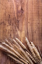 Copyspace photo ears of corn and rice on vintage wooden board concept