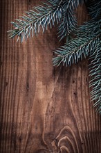 Branches of fir tree on vintage wooden board with copyspace